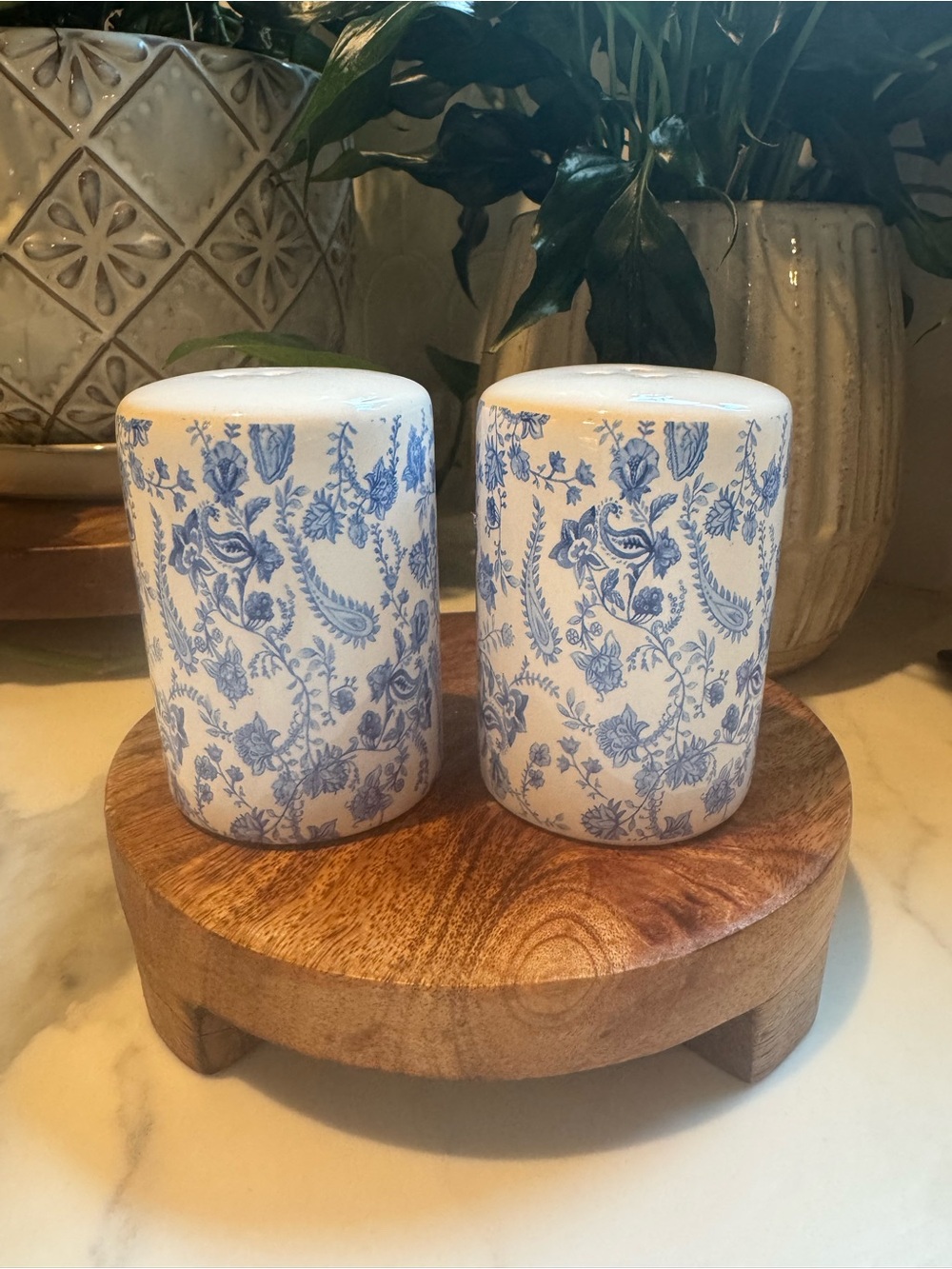 Blue and White Designer Inspired Transferware Salt and Pepper Set